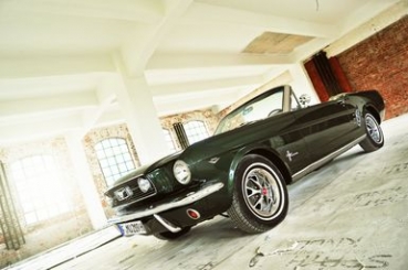 Ford Mustang Cabrio selbst fahren